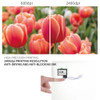 O2nails V11 Professional Mobile Nail Printer WIFI Controlled Intelligent DIY Function Nail Art Machine For Beatuy Salon