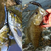 AYWFISH Lifelike Multi Jointed Sinking Wobblers Fishing Lures For Pike Swimbait Crankbait Minnow Trout Bass Fishing Tackle Baits