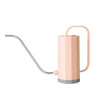 1000ml Plant Watering Can Stainless Steel Curved Mouth Watering Can Household Removable Nozzle Multi-function Bonsai Garden Tool