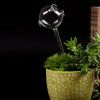 Glass Self-Watering Globes, Cute Pig Plant Waterer Watering Bulbs Clear Glass Aq D0AD