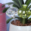 Automatic Plant Watering Bulbs Self Watering Globes Glass Muti-Shape Plant Waterer Plant Water Device