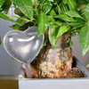 1pcs Plant Self Watering Globe Plants Water Bulbs Bird Shape Clear Glass/plastic Watering Device