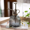 New Embossed Glass Air Pressure Gardening Special Retro Small Can Disinfection Watering Bottle Household Glass Spray Bottle