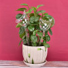 Plant Self Watering Globe Plants Water Bulbs Bird Shape Clear Glass/plastic Watering Device