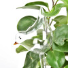 Plant Self Watering Globe Plants Water Bulbs Bird Shape Clear Glass/plastic Watering Device