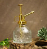 Meat Glass Pneumatic Bottle Household Pot Gardening Cleaning Disinfection Spray Watering