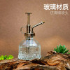 Pot Disinfection Bottle Glass Gardening Cleaning Household Pneumatic Watering Meat Spray