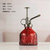 Spray Watering Small Air Glass Disinfection Household Embossed Gardening Bottle Pressure Can