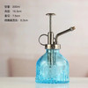 Embossed Can Disinfection Watering Household Pressure Bottle Spray Gardening Air Glass Small