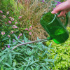 1L Stainless Steel Long-nozzle Plastic Sprinkling Kettle Household Watering Can