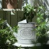 Home Garden Decor Rustic Vintage Metal Plants Watering Can