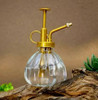 Household Watering Pneumatic Glass Gardening Bottle Meat Pot Cleaning Disinfection Spray