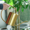 European Gardening Watering Cans with Handle Stainless Steel Household Shower Pot Gold Small Watering Flower Tool 1500ml