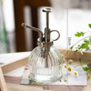 Bottle Air Household Watering Disinfection Pressure Embossed Glass Gardening Spray Can