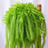 Real Touch Artificial Air Grass Green Leaves Home Green Outdoor Decoration Wall Hanging Plant High Quality Fake Plant