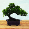 Welcoming Pine Ornaments Artificial Mini Bonsai Green Home Decor Japanese Cedar Tree Juniper Outdoor Fake Potted