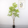 150cm 180cm Artificial Chinese Toon Tree Plastic Yellow Green Large Artificial Plant for Indoor Outdoor Garden Home Decoration