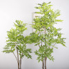 150cm 180cm Artificial Chinese Toon Tree Plastic Yellow Green Large Artificial Plant for Indoor Outdoor Garden Home Decoration