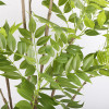 150cm 180cm Artificial Chinese Toon Tree Plastic Yellow Green Large Artificial Plant for Indoor Outdoor Garden Home Decoration
