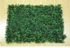 16''x 24'' Artificial Boxwood Foliage Hedge Wall Panels for Garden Home Decor Simulation Grass Turf Rug Lawn Outdoor Flower Wall