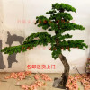 Artificial Greeting Pine Podocarpus Macrophyllus Tree Green Plant Pot Sales by Indoor and Outdoor Soft Outfit Decoration