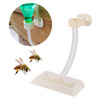 1 Set Apiculture Honey Bee Feeders Beehive Nest Door Drinker Easy To Install Plastic Drinking Feeding Tool Beekeeping Supplies