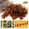 Bee King Queen Rearing Rearing Cups Brown Color, Cell Box Cages Room Beekeeping Apicultura Supplies Plastic Equipment 360 Pcs