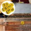10/20/50pcs Round Numbers Beehive Tags Bee Box Sign Labels Beehive Mark Board Tag Beekeeping Supply Garden Animal Markers