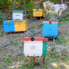 10/20/50pcs Round Numbers Beehive Tags Bee Box Sign Labels Beehive Mark Board Tag Beekeeping Supply Garden Animal Markers