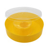 5Pcs New 4 Pint 2L Bee Feeder Honey Plastic Round Feeding Drinking Waterer Watering Drinkers Feeders Beekeeping Tools Supplies