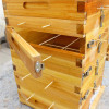 Chinese Fir Lattice Beehive Full Set Wooden Bee Hive Hotel House Beekeeping Equipment Bee Box Beekeeping Tool Beekeeper Supplies