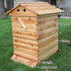 Wooden Bee Hive House with 7Pcs Nest Automatic Beekeeping Equipment Beekeeper Tool for Bee Hive Supply Honey Collection Tools