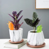 2022 New Drip Irrigation Equipment Garden Automatic Watering Tool Cute Birds Potted Plant Waterers Spike for Houseplant