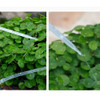 Smart Automatic Drip Irrigation Controller System Watering Kit for Home Office Lazy Planting Gardening Tools and Equipment