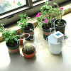 Fully Automatic Watering Controller Timing Device Green Plant Pot Water Dispenser Drip Irrigation Intelligent Watering Device