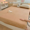 1pc Milk Velvet Fitted Sheet, Soft Comfortable Fleece Bed Cover, Autumn And Winter Warm Mattress Protection Cover, With Deep Poc