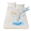 Waterproof Elastic Mattress Cover Bed Sheets Pad Protector Bed Cover Soft Queen King Solid Color Latex Mat Cover 150/160/180x200