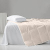 Bidekanu Lightweight Goose Down Duvet Insert, Fluffy and Soft Comforter, Warm Blanket, All Season, Winter