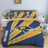 90gsm polyester plush fabric, team logo skin friendly warm bedding set of three, 1 down duvet cover+2 pillowcases