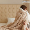 Winter Blanket Lamb Wool Thick Super Soft Double Side Microfiber Flannel Throw Blanket for Bed Comfortable Warm Comforter Double