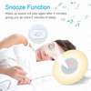 Wake Up Light Alarm Sunrise/Sunset Simulation Digital Clock with FM Radio Light Nature Sounds Snooze Function Touch Control
