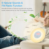Wake Up Light Alarm Sunrise/Sunset Simulation Digital Clock with FM Radio Light Nature Sounds Snooze Function Touch Control