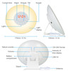 Wake Up Light Alarm Sunrise/Sunset Simulation Digital Clock with FM Radio Light Nature Sounds Snooze Function Touch Control