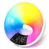 Smart APP Wake Up Clock Light WiFi Graffiti Sunrise Alarm Clock Simulation Dual Alarm Clock FM Radio Dimmable Bluetooth