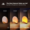 Wooden Sunrise Simulation Alarm Clock, Sound Machine Night Light, 26 Soothing Sounds for Sleeping, Dimmable Clock Free Shipping