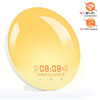 Wake Up Light Alarm Clock with Sunrise/Sunset Simulation FM Radio Night Light Natural Sounds Dual Alarm Sleep Aid Ideal for Gift