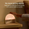 2 Sunrise Alarm Clock, Sound Machine, Smart Light (Putty) Bedside Sleep Guide, White Noise, Personal Sleep Routines, Dimmable