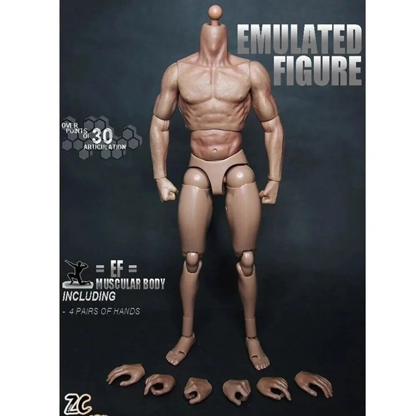 1/6 Scale Male Muscle Body S001 ZCtoys Like HTTTM19 12 Inch Military Solider Action Figure Body Model