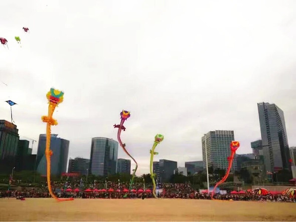 free shipping 35m dragon kite flying adults kite professional wind kite pendant soft kites programmable toys eagle kites large