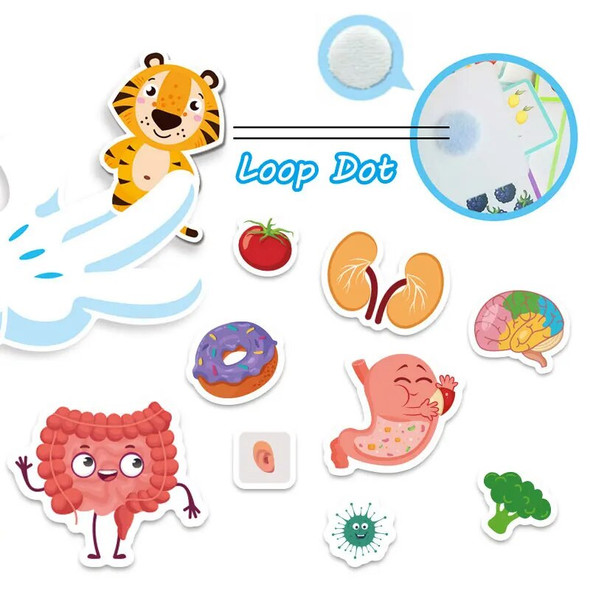 Children Human Organs Quiet Book Montessori Toys Parish Body Structure Learning My First Busy Book Educational Game Sensory Toys